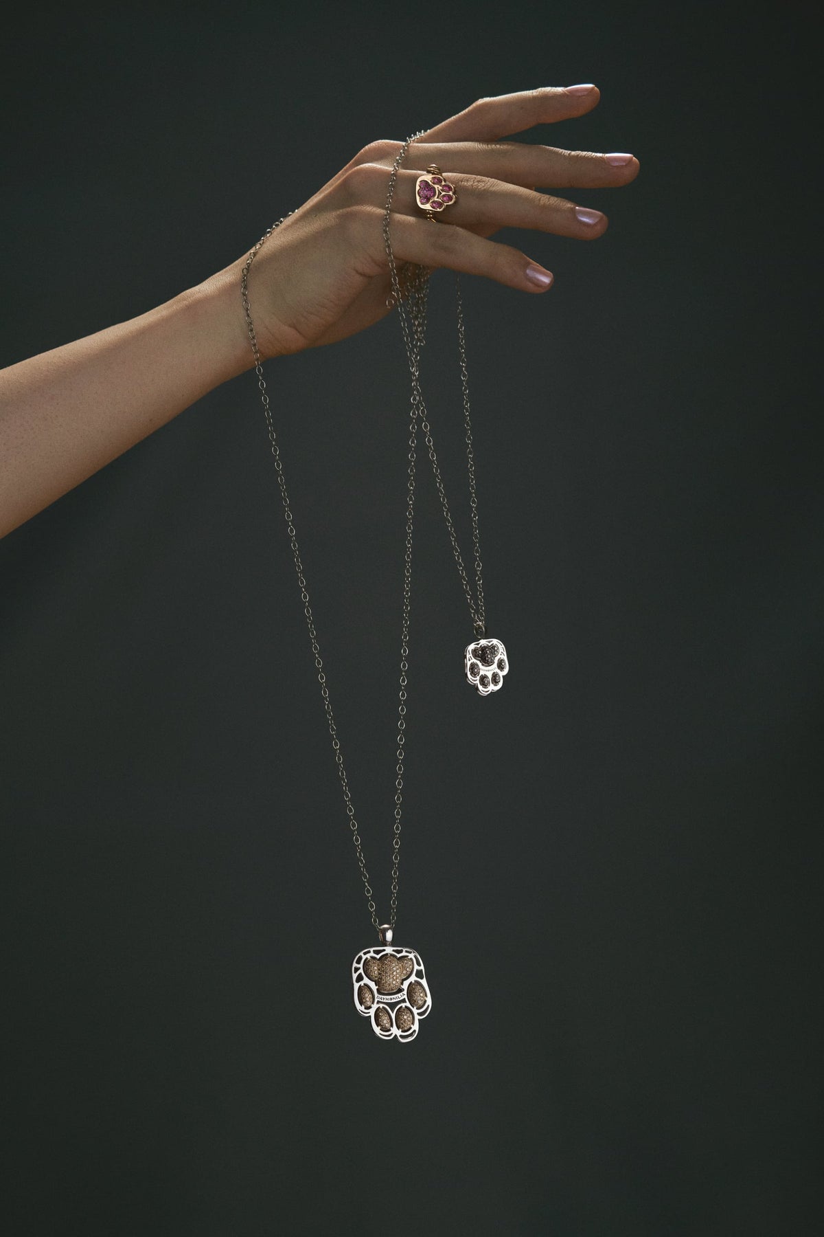 Una mano dall'alto, con le catene dei pendenti e l'anello della Casa.
