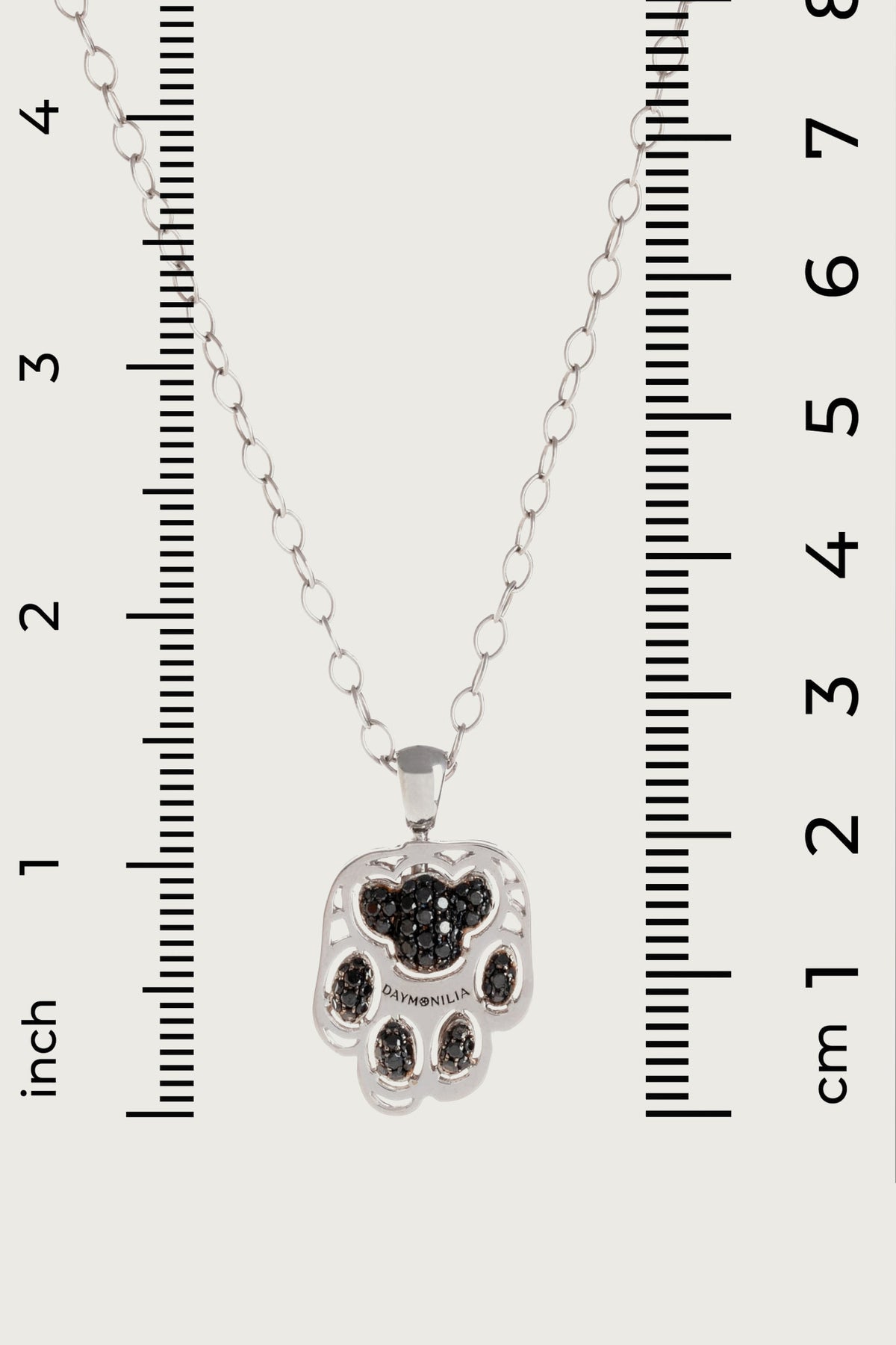 Pardo between two rulers in inches and centimeters: the paw measures just over two centimeters.